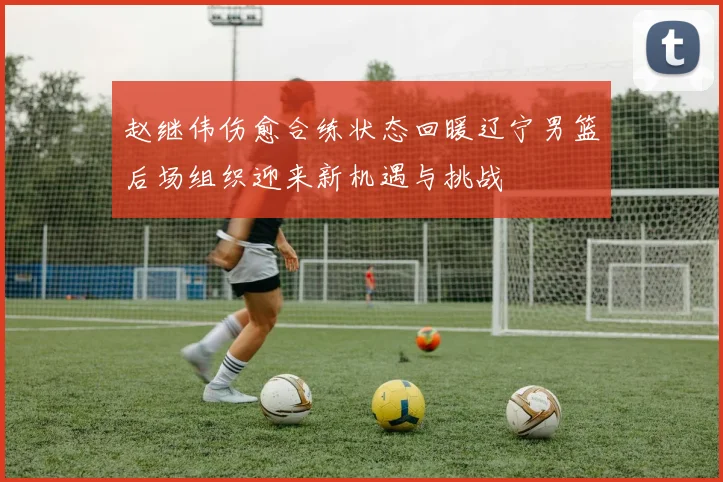 赵继伟伤愈合练状态回暖辽宁男篮后场组织迎来新机遇与挑战